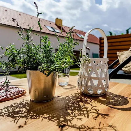Guest house Branna 31
