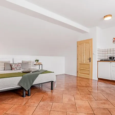 Guest house Branna 31 *