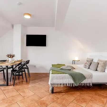 Guest house Branna 31 *